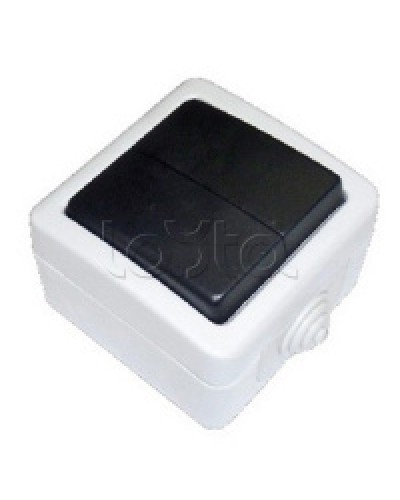 Экопласт EF602SA Переключатель 2-полюсный, двухклавишный с 2-х мест (сх.6+6) 10A (сер.) в Волгограде Розетки компьютерные и телефонные Pintop.ru