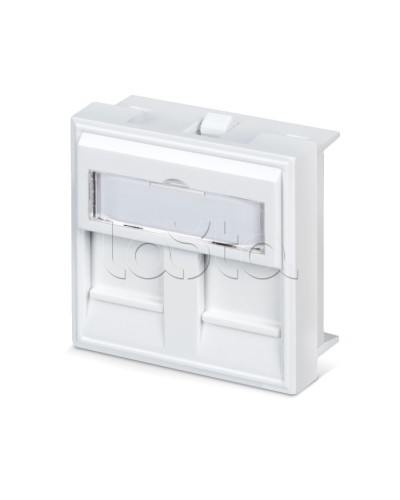 Вставка 45x45 (аналог Mosaic) для 2 модулей формата Keystone Jack Cabeus FP-45-2M в Волгограде Модули Keystone Pintop.ru