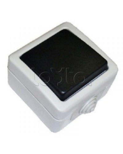 Экопласт EF600SD Выключатель одноклавишый с самовозвратом (кнопка),10A (сер.) в Волгограде Розетки компьютерные и телефонные Pintop.ru