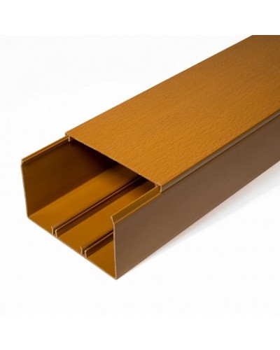 Кабель-канал бук 2-й замок в п/э 100х60 (8 м/уп) Промрукав (PR03.0207) в Волгограде Огнестойкие кабельные линии Pintop.ru