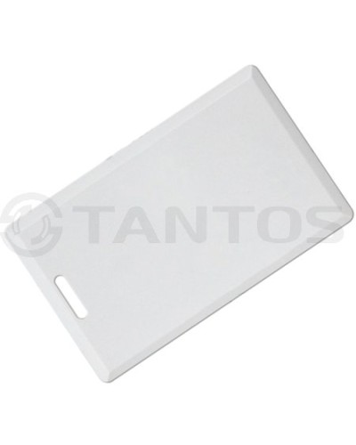 Карта толстая формата Temic Tantos Temic (толстая) TS в Волгограде Оптовые идентификаторы Pintop.ru