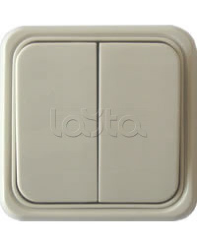 Выключатель двухклавишный открытой установки Экопласт, схема 5, (бежевый) в Волгограде Розетки компьютерные и телефонные Pintop.ru