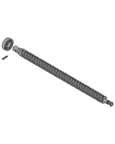 Винт ходовой AX302304, AX3024, АХ402306, AX412306 Came 119RID319 в Волгограде Запчасти для шлагбаумов и автоматики Pintop.ru