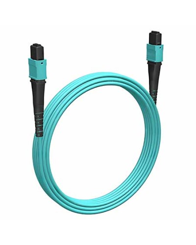 Кабельная сборка MPO(F) -MPO(F)-12 волокон 50/125 OM3, 1 m Cabeus (FOP-50-OM3-12-MPO(F)-12-MPO(F)-B-1m) в Волгограде Кабельные сборки (оптические) Pintop.ru