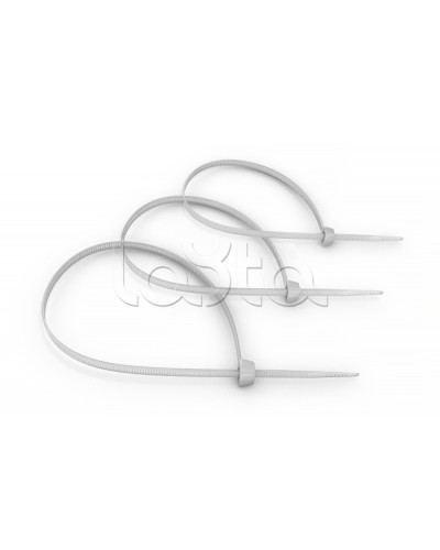 Стяжка нейлоновая неоткрывающаяся, безгалогенная (halogen free) 100x2.5мм, (100 шт) Cabeus CT-100 в Волгограде Аксессуары для кабель-канала Pintop.ru