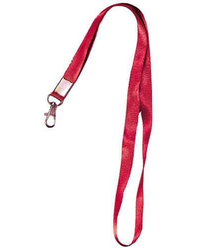 Лента шёлковая с металлическим карабином-защёлкой Tantos TS-STR (red) в Волгограде Дополнительное оборудование для СКУД Pintop.ru