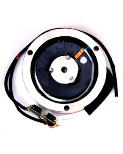 Электромагнит BY1500T Came 119RIY034 в Волгограде Запчасти для шлагбаумов и автоматики Pintop.ru