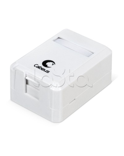 Корпус внешней настенной розетки на 1 Keystone Cabeus MB-1 в Волгограде Дополнительное оборудование для сетей Pintop.ru