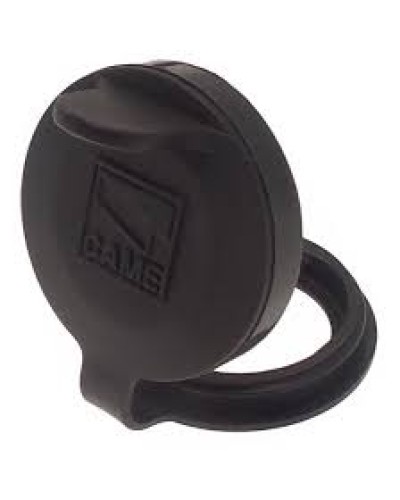 Защита целиндра замка A4366 Came 119RIA051 в Волгограде Запчасти для шлагбаумов и автоматики Pintop.ru