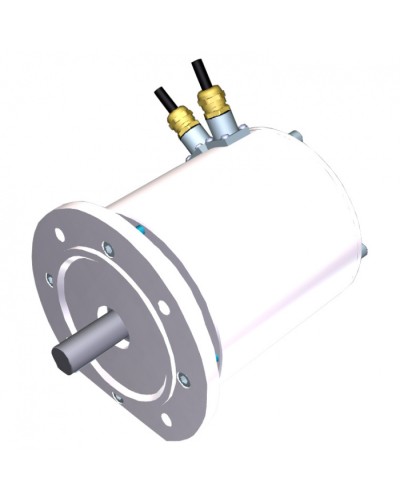 Электродвигатель FROG-MD Came 119RIA080 в Волгограде Запчасти для шлагбаумов и автоматики Pintop.ru