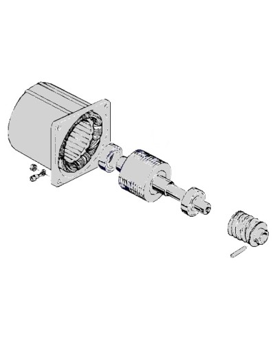Электродвигатель С-100 Came 119RIC052 в Волгограде Запчасти для шлагбаумов и автоматики Pintop.ru