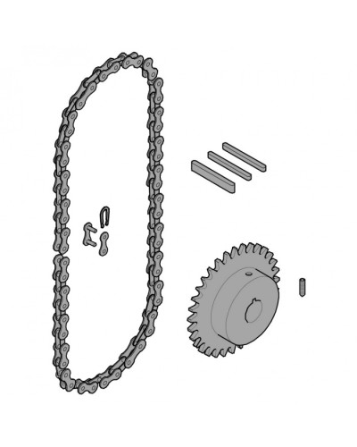 Передающая система (цепь и звездочки) C005 Came 119RICX016 в Волгограде Запчасти для шлагбаумов и автоматики Pintop.ru