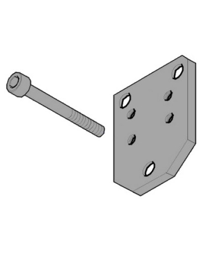 Пластина монтажная FLEX Came 119RID143 в Волгограде Запчасти для шлагбаумов и автоматики Pintop.ru