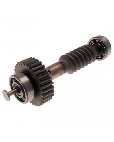 Червяк редуктора FAST в сборе Came 119RID228 в Волгограде Запчасти для шлагбаумов и автоматики Pintop.ru