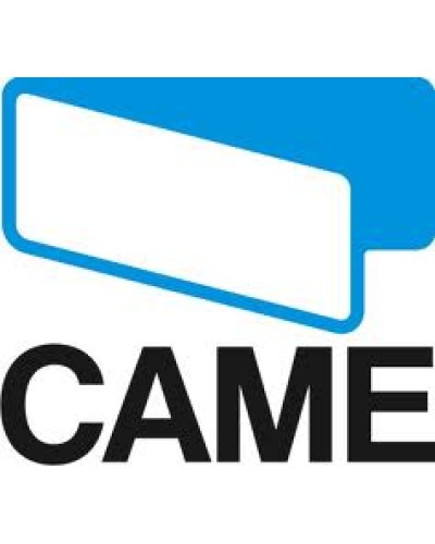 Замок дверцы Came 119RIG213 в Волгограде Запчасти для шлагбаумов и автоматики Pintop.ru