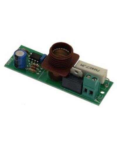 Плата лампы KIARO 24 Came 119RIR030 в Волгограде Запчасти для шлагбаумов и автоматики Pintop.ru