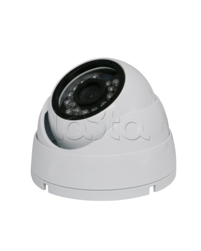 Камера видеонаблюдения купольная EverFocus ACE-IAB20XHD в Волгограде Аналоговые камеры Pintop.ru