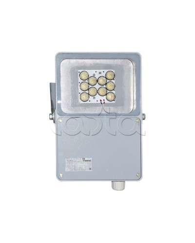 Прожектор светодиодный Forteza ФОСФОР-40/20-А (металл) в Волгограде Аксессуары для средств охраны периметра Pintop.ru