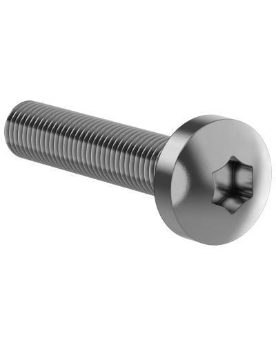 Винт М6х30 IEK (FO-00D-VTORX-M6X30-020) в Волгограде Аксессуары для стоек и шкафов Pintop.ru