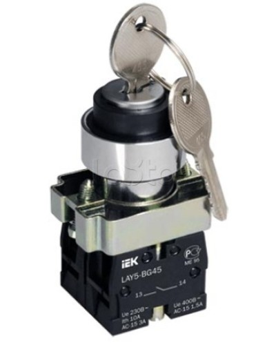 Переключатель LAY5-BG45 на 2 положения с ключом без фиксации IEK BSW80-BG-2-K02 в Волгограде Аксессуары для стоек и шкафов Pintop.ru