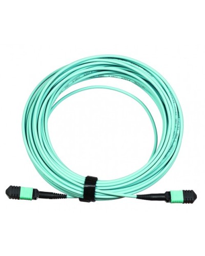 Сборка кабельная LANMASTER (LAN-12M-12M/OM3B-10) в Волгограде Коннекторы Pintop.ru