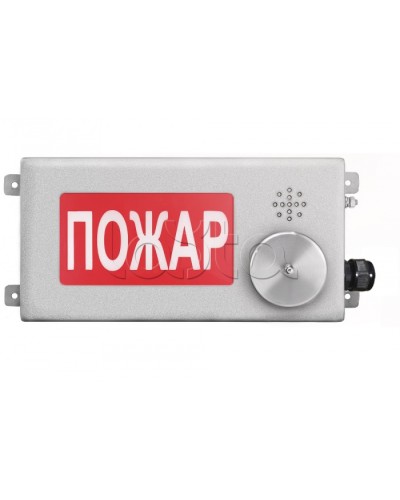 Табло светозвуковое взрывозащищенное Спектрон ТСЗВ-Exm-Н-Прометей-МИНИ 12-36В в Волгограде Оповещатели Ex Pintop.ru