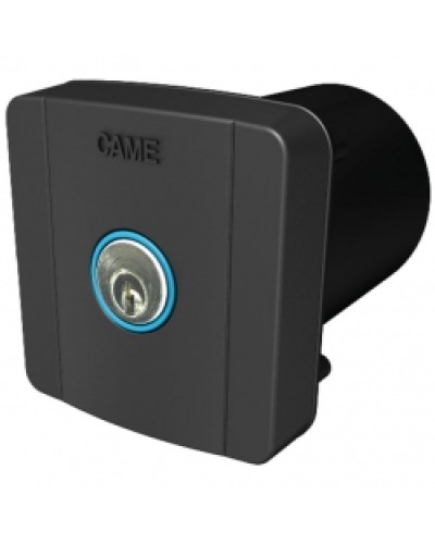 Ключ-выключатель встраиваемый Came 806SL-0020 в Волгограде Запчасти для шлагбаумов и автоматики Pintop.ru