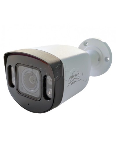 IP-камера видеонаблюдения в стандартном исполнении Fox FX-IPC-C40AP-IR H.265 AI в Волгограде IP-камеры Pintop.ru