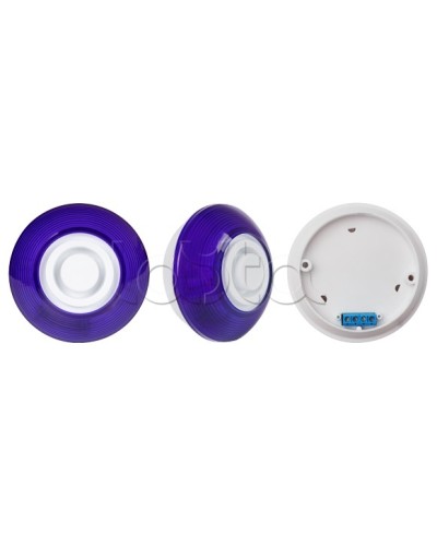 Оповещатель комбинированный SLT Марс 12-КП (строб, син) в Волгограде Оповещатели Pintop.ru