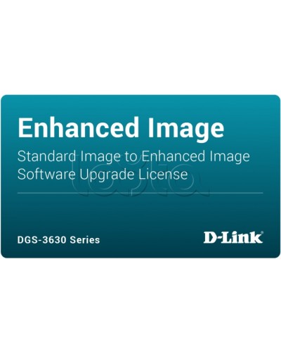 ПО D-Link DGS-3630-28TC-SE-LIC в Волгограде Беспроводное оборудование Pintop.ru