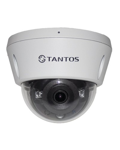 IP-видеокамера в купольном исполнении Tantos TSi-Vn253VZ в Волгограде IP-камеры Pintop.ru