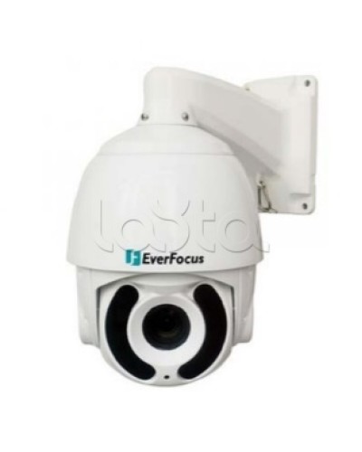Камера видеонаблюдения поворотная купольная EverFocus EPA-6220 в Волгограде Аналоговые камеры Pintop.ru